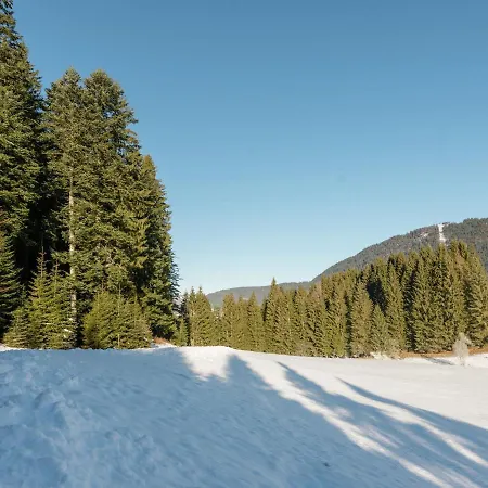 Dachstein Chalet Chalet