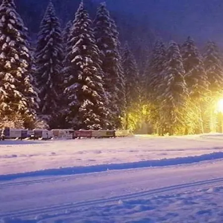 Dachstein Chalet *